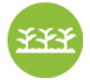 beds-borders