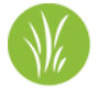 lawn-maintenance