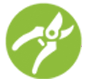 pruning