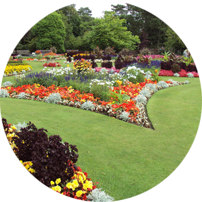 beautiful-garden-testimonial