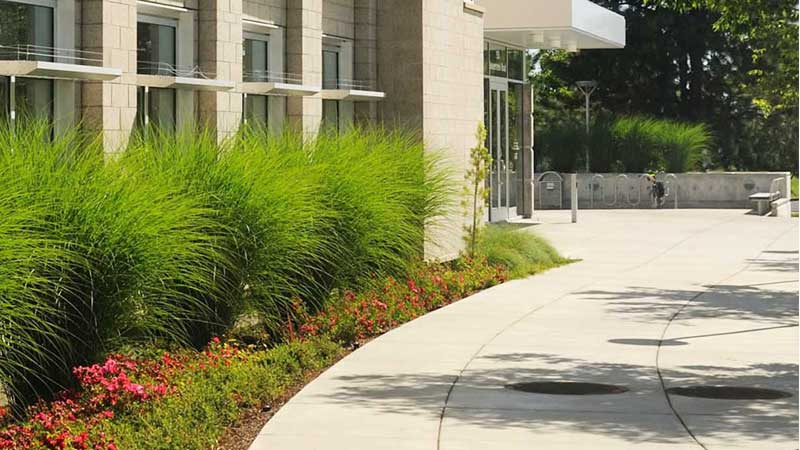 building facilities grounds maintenance garden