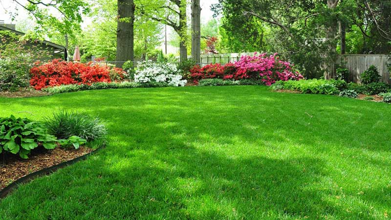 grounds upkeep maintenance garden